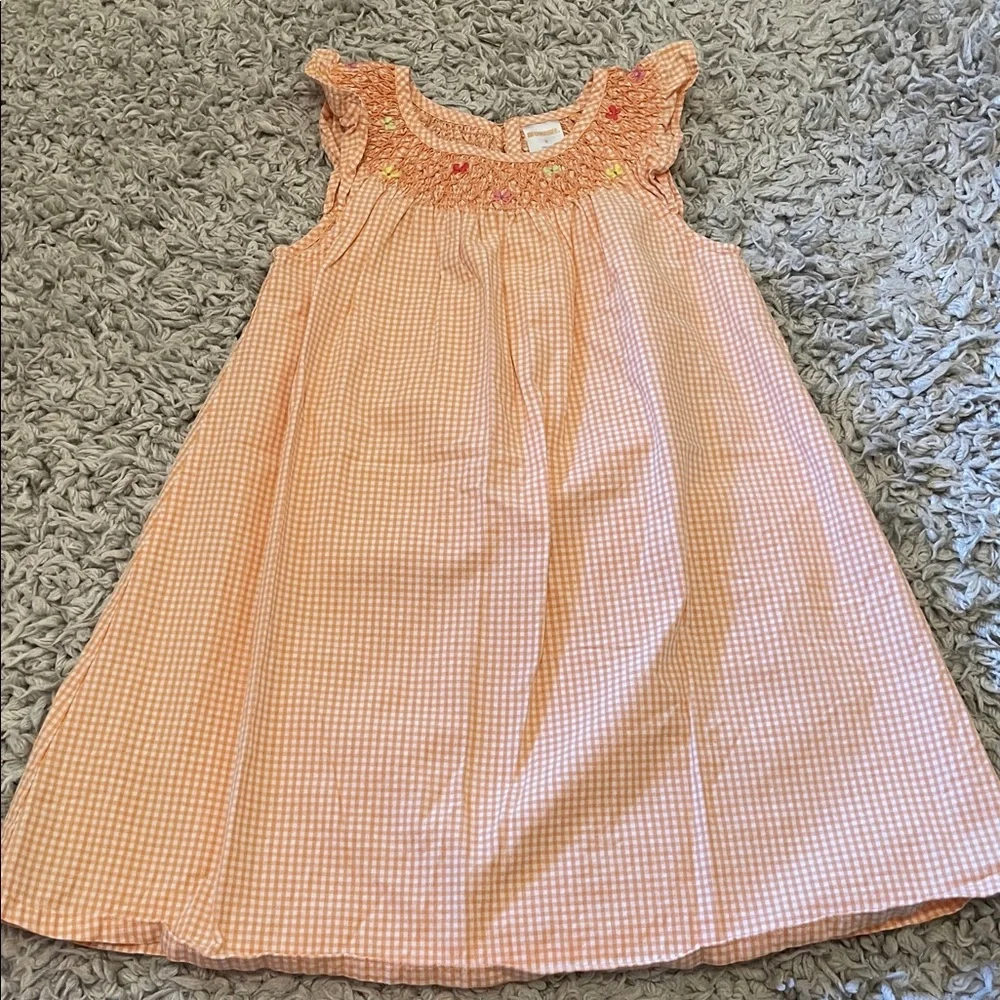 2010 Gymboree Outlet “Social Butterfly” Gingham Dress, Size 5